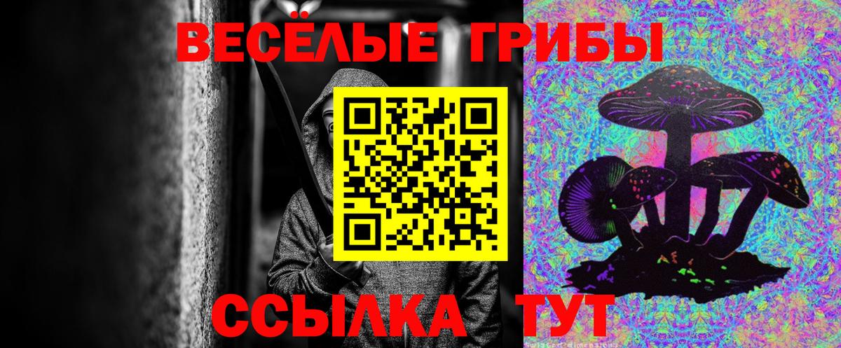 Галлюциногенные грибы Psilocybe Гусь-Хрустальный