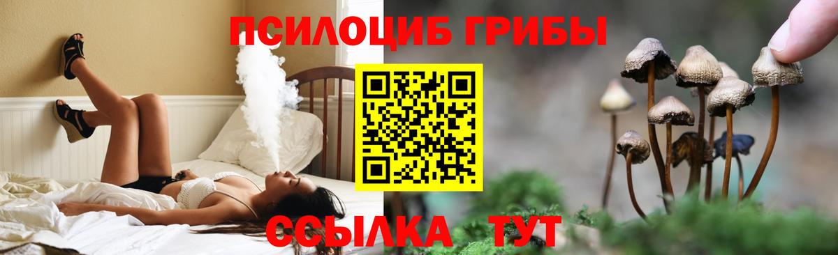 Гусь-Хрустальный  Галлюциногенные грибы GOLDEN TEACHER  купить закладку  Вход с VPN 